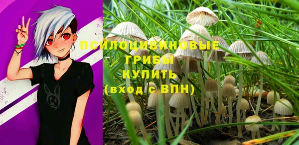 гашик Нефтегорск