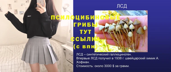 гашик Нефтегорск