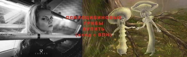 гашик Нефтегорск