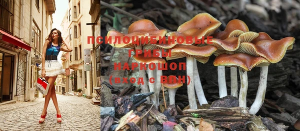 mix Нефтекумск